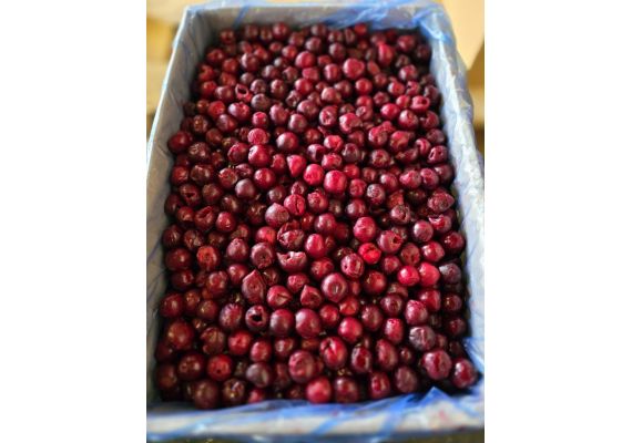 Вишня замороженная Беларусь