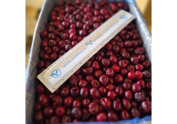 Замороженная вишня для HoReCa Беларусь