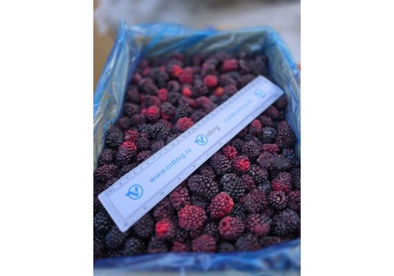 Замороженные ягоды ежевики