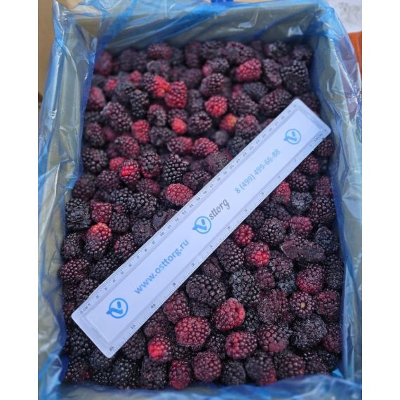 Ежевика замороженная 10 кг Сербия