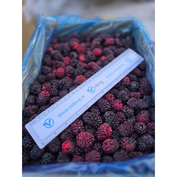 Замороженные ягоды ежевики