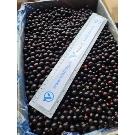 Черная смородина замороженная 10 кг