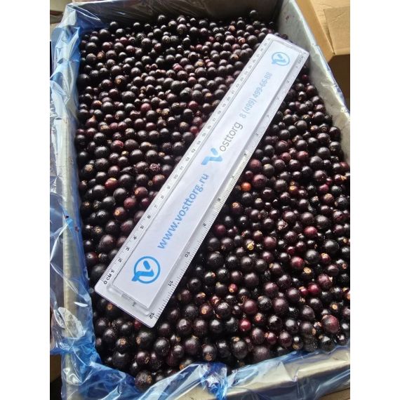 Смородина для десертов и напитков