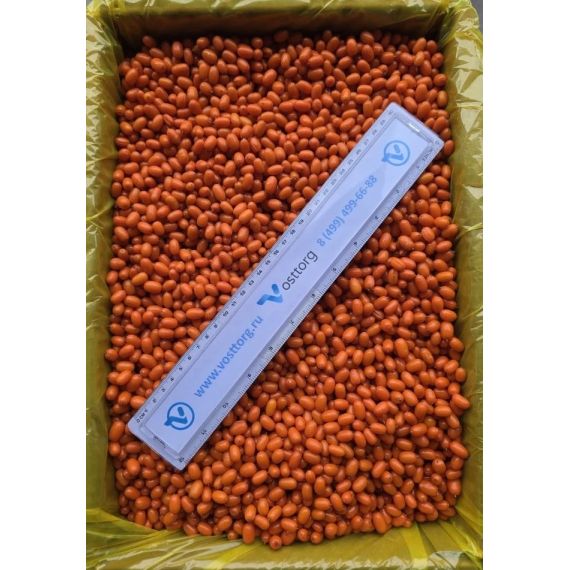 Замороженные ягоды облепихи