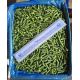 Фасоль стручковая резаная замороженная 10 кг